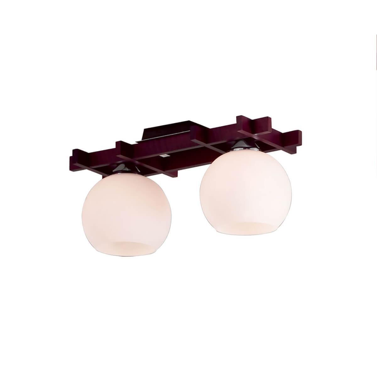Потолочный светильник Citilux Нарита арт. CL114121